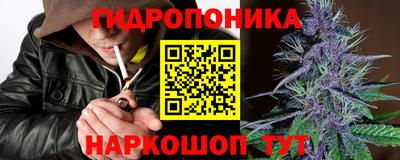 прущие грибы Уссурийск